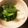 ☆ichika＊☆'s cooksnap of when they made 大葉の保存方法.