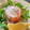 Lake☆Erie's cooksnap of when they made ベーコンラップステーキ.