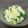 はちみつlove's cooksnap of when they made きゅうりと天かすのポン酢かけ.