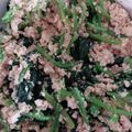 てるんぴー's cooksnap of when they made ほうれんそうと豆腐のよごし（白和え）.