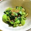 古賀竜一's cooksnap of when they made 青梗菜の生姜おひたし♬.