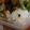 井澤綾華（井澤農園）'s cooksnap of when they made キャラ弁　ぞうさん.