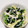 もぐ・ω・くま's cooksnap of when they made 生姜香る副菜✳︎小松菜油揚げしらす煮浸し.