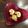 栗丸うさぎ's cooksnap of when they made 紅生姜入り玉子焼き.