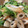 snow012's cooksnap of when they made 簡単!! ちくわとレタスのマヨネーズ炒め.