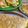 こきなりチャンネル父's cooksnap of when they made キャベツとチーズのオムレツ♪.