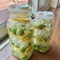 あんぽんタソ's cooksnap of when they made はちみつレモン梅シロップ.