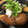 ミルクボール's cooksnap of when they made ♡みぞれにまみれた茄子のはさみ焼き♡.