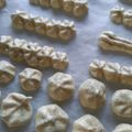 クックQXQYM0☆'s cooksnap of when they made メレンゲクッキー.