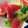 ベティ３'s cooksnap of when they made 小松菜とトマトのお浸し☆.