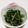 もぐ・ω・くま's cooksnap of when they made 簡単ほうれん草ナムル.