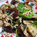 クック219VGU☆'s cooksnap of when they made No3023茄子と青梗菜の花椒炒め.