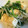 R2016's cooksnap of when they made 豆腐とニラともやしの炒め物.