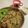 papikun's cooksnap of when they made お母さんのミルクスープ.