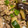 feel872's cooksnap of when they made なすの豚みそ炒め.