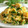 おしす's cooksnap of when they made しょうゆマヨのニラ玉炒め.