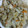 まりゆりひろこ's cooksnap of when they made ☻鶏ごぼう炊き込みご飯☻.