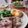 coconico's cooksnap of when they made 簡単☆ラムチョップ.