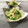 きっかママ's cooksnap of when they made *水菜とササミの胡麻だれ和え*.