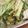 ＊ｈａｎａｃａｆｅ＊'s cooksnap of when they made 鶏ササミときゅうりのピリ辛中華.