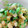 ☆３匹の子ぶた☆'s cooksnap of when they made 簡単おつまみ☆夏野菜で！ごちそうめかぶ.
