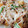 まーく71's cooksnap of when they made 豚こまともやしでニラ玉炒めをメインに！.