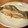 まなポコ's cooksnap of when they made 簡単ご馳走・子持ちカレイのムニエル.
