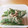 ごじひめ's cooksnap of when they made 【簡単】スナップエンドウのマヨごま和え.