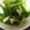amanod0v0b's cooksnap of when they made やみつきネギサラダ☆.。.:*・.