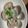 たべたべこ's cooksnap of when they made 簡単！はまぐりの酒蒸し(バター醤油味).