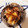 ふぁんころ's cooksnap of when they made しいたけのマヨ焼き.