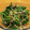 Etsu☆ko's cooksnap of when they made 三つ葉と茗荷のおひたし.
