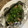 saki1010's cooksnap of when they made 鮭の包み焼き☆北海道に憧れて☆.