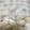 クックZTZ10H☆'s cooksnap of when they made ニンニクの保存方法.
