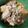 わたるんママ's cooksnap of when they made 10分でできる麻婆豆腐.