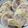 クックX3VQF7☆'s cooksnap of when they made 電子レンジで簡単＊塩レモン鶏チャーシュー.