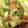 ブランシュkuu's cooksnap of when they made 簡単！ウインナーとピーマンのカレー炒め♪.