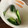 0720まま's cooksnap of when they made 大根ときゅうりの漬物☆.