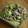 ガメコ's cooksnap of when they made うるいのあっさり炒め.