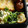 ガメコ's cooksnap of when they made ★ほうれん草とカリカリ油揚げのごま和え.