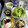 ebipeco's cooksnap of when they made わかめ、たまねぎ、たまごスープ☆中華風.