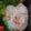 G_Yossan's cooksnap of when they made ☆ピリッと辛い　大人のおにぎり☆.