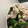 さゆゆゆこ's cooksnap of when they made たたききゅうりと豚の和えたん。.