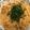 クックIB82OG☆'s cooksnap of when they made 手抜き✤冷凍むきあさりでボンゴレビアンコ.