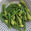 ゆにコーン's cooksnap of when they made ニンニクの芽 下処理 保存方法.