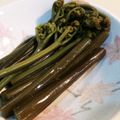 AREDARED's cooksnap of when they made わらびの生姜醤油和え.