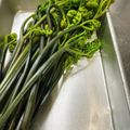 マリゴロウ's cooksnap of when they made 私流～♪春の山菜わらびのあく抜きと保存.