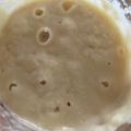 Makki203's cooksnap of when they made ホシノ天然酵母の起こし方～ホシノ生種～.