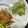 クック9P6O5D☆'s cooksnap of when they made 簡単本格にんにくナムル★きゅうり＆もやし.