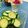 おうちごはん☆'s cooksnap of when they made 簡単！さっぱり♪塩きゅうり.